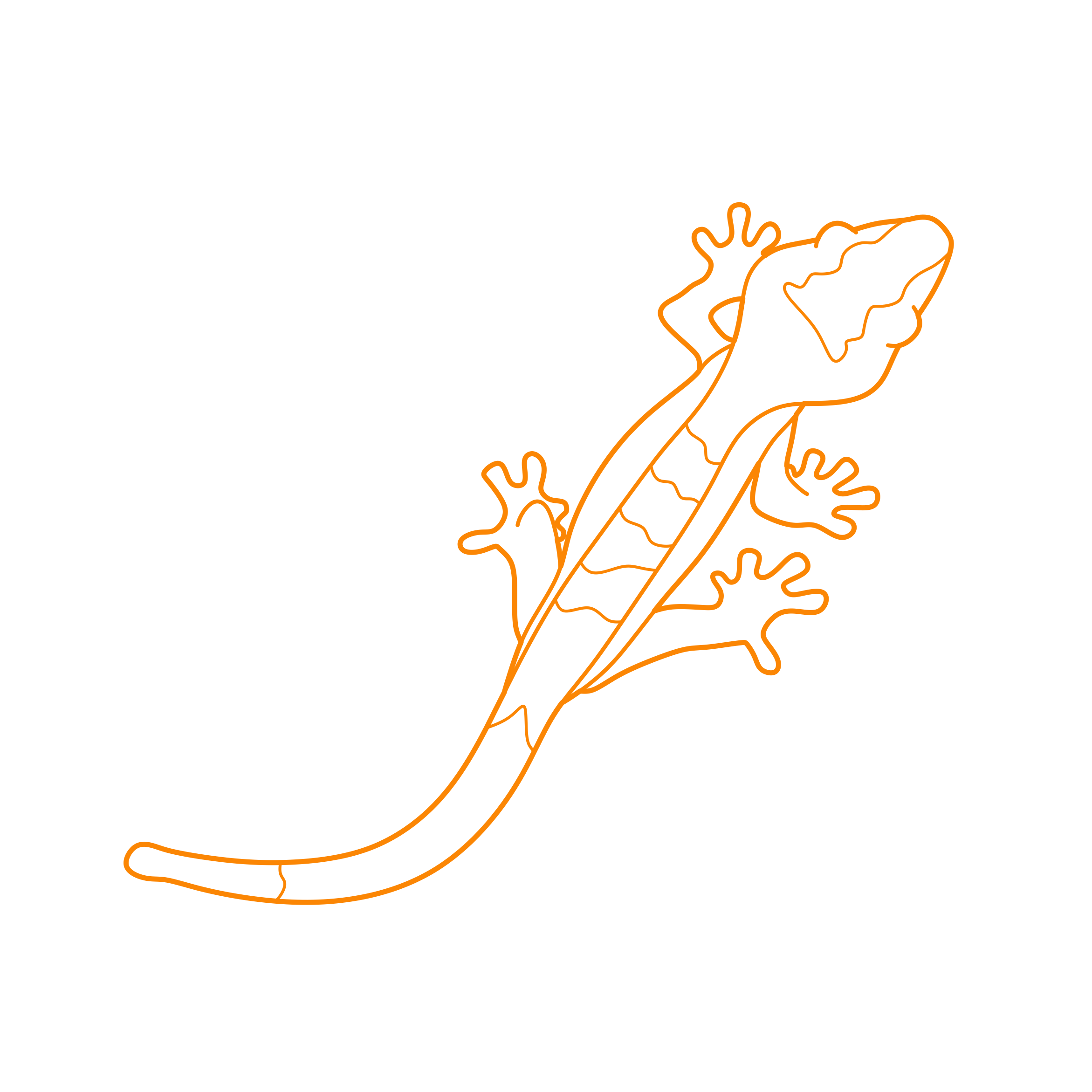 Animals Lizards Crested Gecko Sticker Outline Svg File Free Vectors